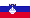 Slovenia flag