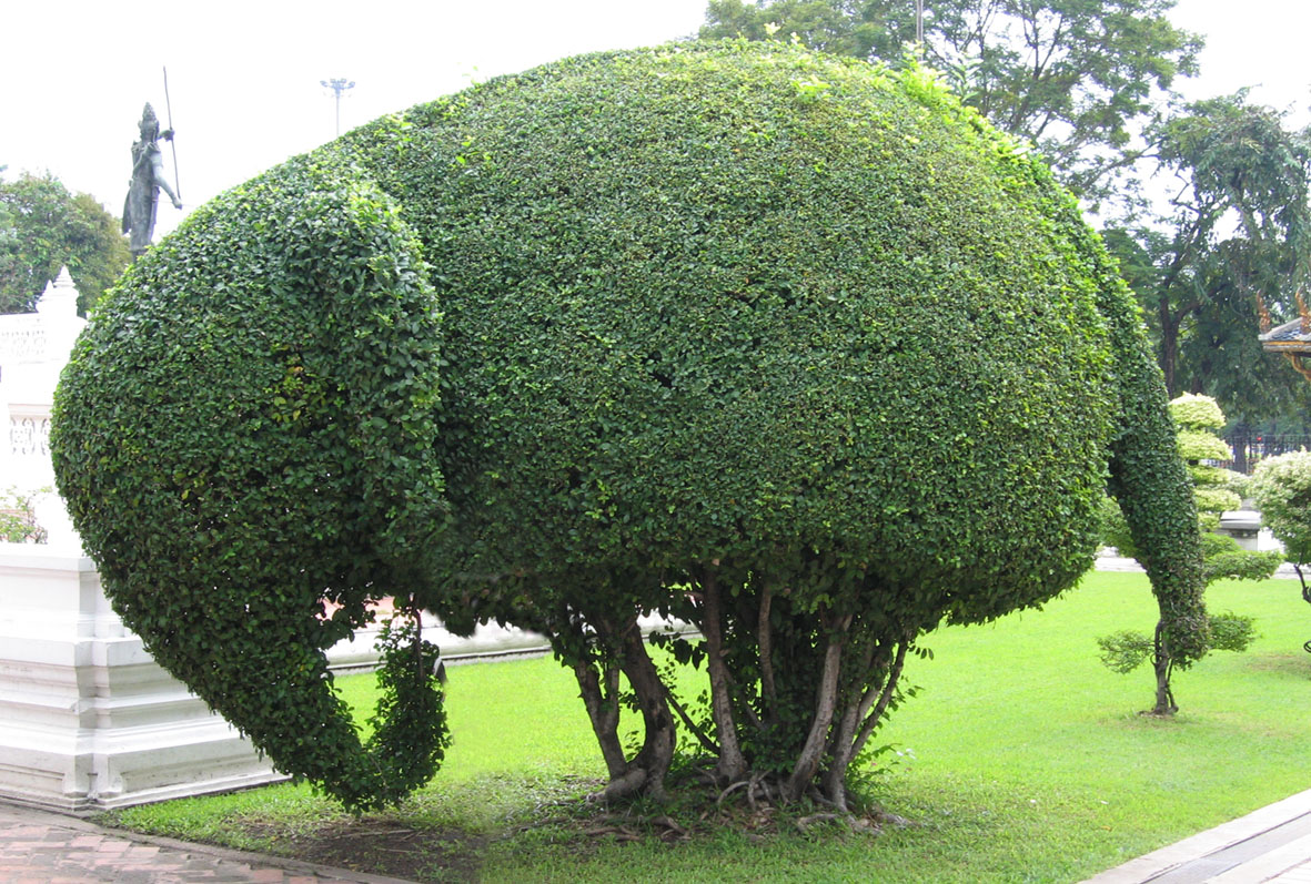 a-word-a-day-topiary