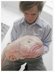 blobfish