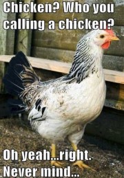 chicken-livered