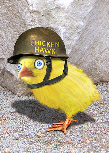 A Word A Day chicken Hawk