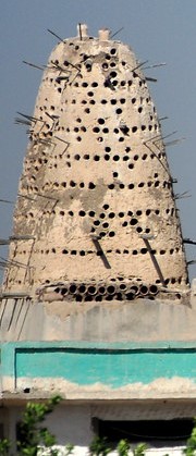 dovecote