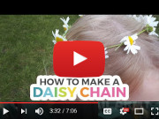 daisy-chain