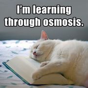 osmosis