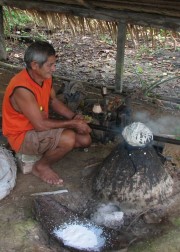 Vulcanization in the Amazon